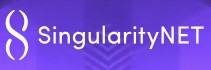 SingularityNET 로고 - Decentralized AI Network Platform